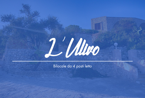 appartamento-ulivo