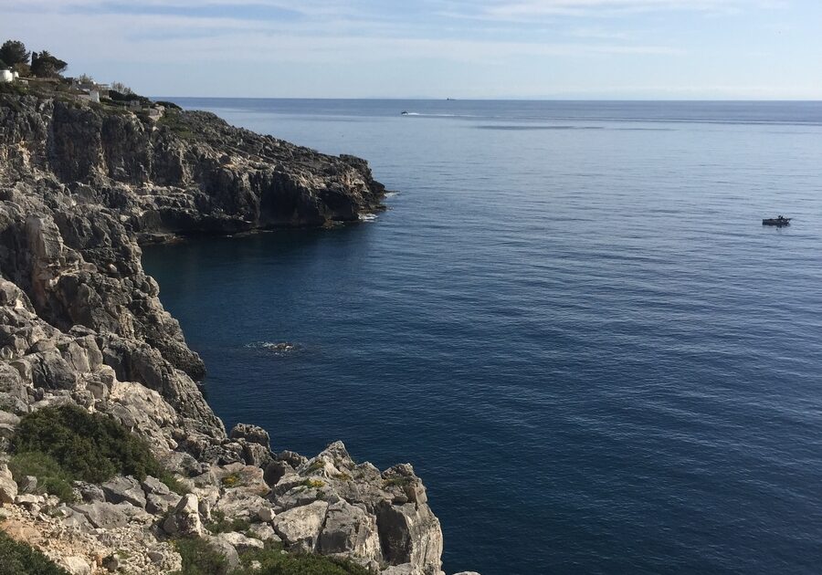 scogliera-gabbiano-scoglio-01